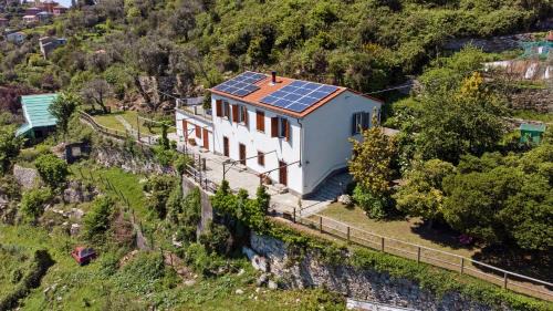 Ruta Apartment | Monolocale Fattorialmare Viola