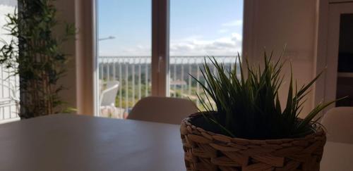 Espartal Apartment | Monte Clérigo - Aljezur - Apartamento T2