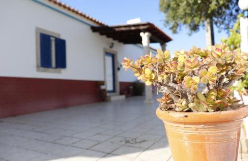 Santa Cruz House | Monte do Parral