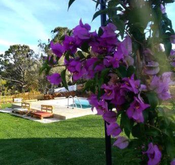 Funchal House | Monte Funchal