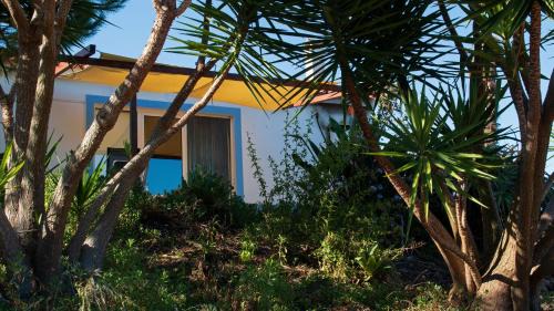 Santiago do Cacem House | Monte Horizonte - Turismo Rural- Casas de Campo - Eco e Natureza