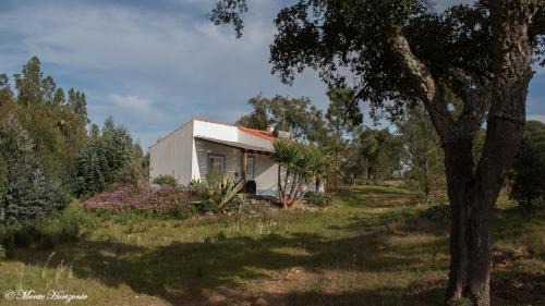 Santiago do Cacem House | Monte Horizonte - Villas Privadas - Eco e Natureza
