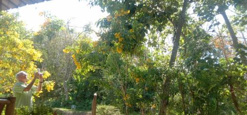 Ko Mook Cabin | Mook Bamboo Bungalows