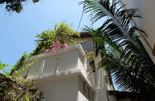 Phuoc Long House | Moon house tropical garden - Lavender