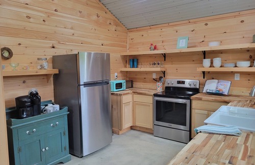 Rydal Cabin | Moon tree cabin 🌙🌲 2-bedrooms in Rydal, close to Buc-ee's! Outside shower!