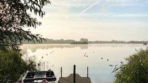 Cirencester House | Moorhens