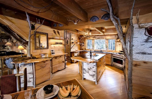 Waterbury Cabin | Moose Meadow Lodge & Treehouse - Adirondack style log cabin on 86 private acres