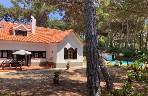 Mucifal House | Moradia no Pinhal com Piscina - Espaço e Privacidade para as suas Férias!