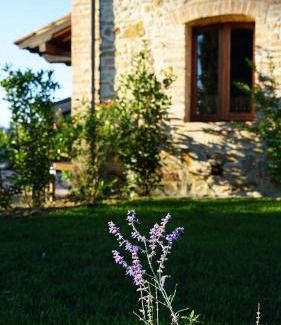 San Gimignano House | Mormoraia