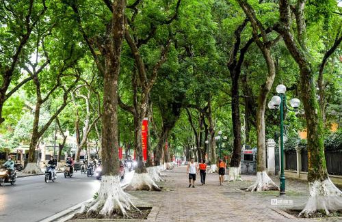 Ba Dinh Apartment | Morri Homestay - Quán Thánh