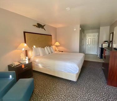 Morro Bay Hotel | Morro Shores Inn And Suites