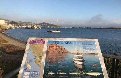Morro Bay Hotel | Morro Shores Inn And Suites