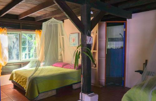 Bocas del Toro House | Mosana Reef Garden B&B