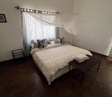 Livingstone Apartment | Mose St