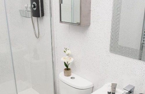 Moseley Apartment | Moseley Mews Village Suites - Purple