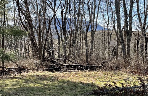 Crumpler Other | MOSS HOLLAR FARMHOUSE Secluded remodeled farmhouse minutes from The New River