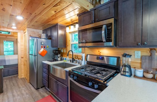 Tuckasegee House | Mossy Falls - Adorable Tiny Home Located in the Smokies with Private Waterfalls and a Fire Pit!