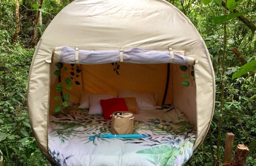 Filandia Hotel | Mot Mot Glamping