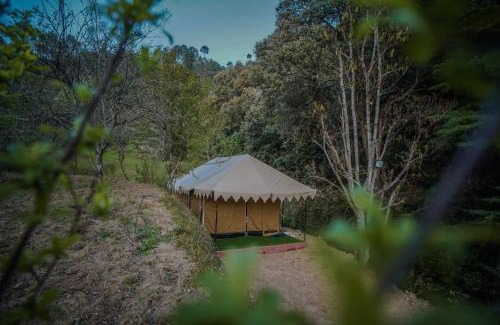 Kaul Other | Mount Look