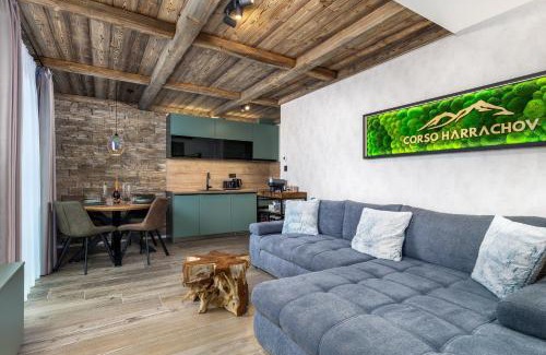 Harrachov Apartment | Mountain Apartment No 209-CORSO Harrachov, High Speed WI-FI, Ambilight smart TV, Netflix, YouTube, FREE parking, PRIVATE bike storage