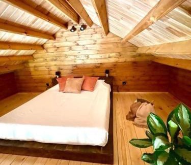 Monte Other | Mountain Eco Shelter 8
