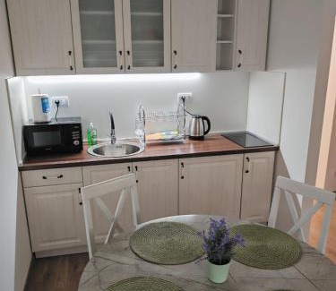 Mladenovac Apartment | Mountain LUX