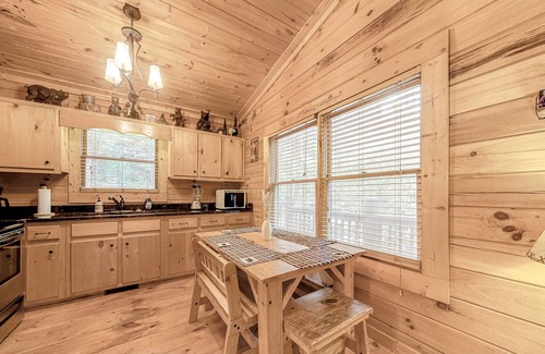 Hidden Lake Cabin | Mountain retreat with private hot tub, WiFi, & grill - Snowbirds welcome