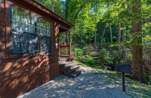 Topton Cabin | Mountain serenity close to hiking, rafting, fishing and kayaking. "Coyote Song"