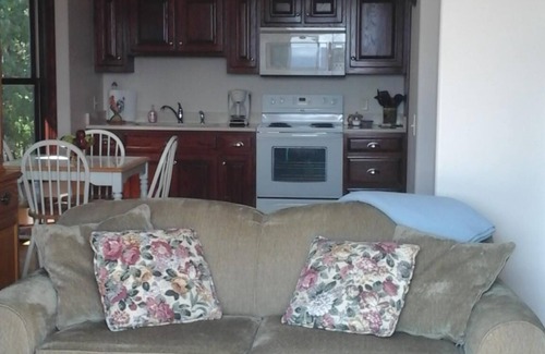 Monterey Apartment | Mountain Top Resort With a Million Dollar View
