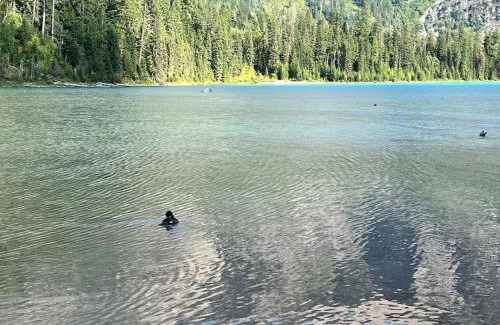 Whitefish House | Mountain View Chalet at The Quarry - Sleeps 6!