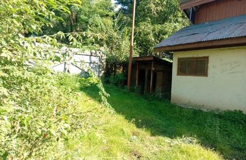 McLeod Ganj Hotel | Mountain view guesthouse