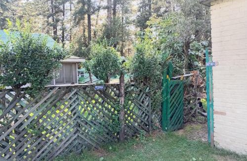 McLeod Ganj Hotel | Mountain view guesthouse