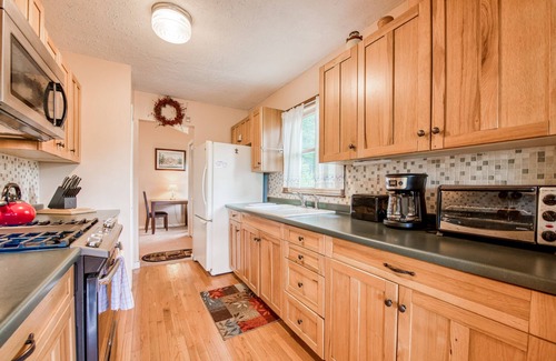 Sylva House | Mountain-view home with deck, grill, fireplace, & washer/dryer - dogs welcome