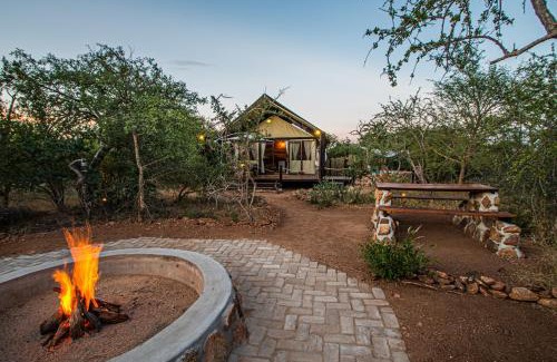 Maruleng Other | Mountain View Safari Lodge