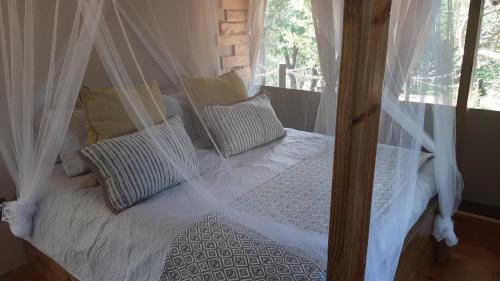 Maruleng Other | Mountain View Safari Lodge