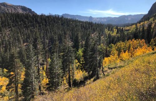 Mammoth Lakes House | Mountainback #60, Corner Unit