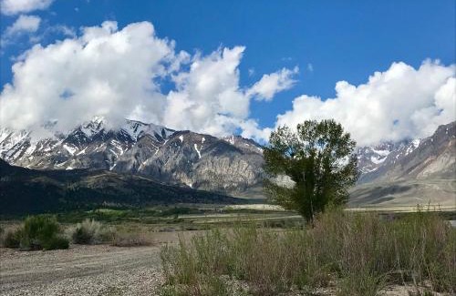 Mammoth Lakes House | Mountainback #73, Den