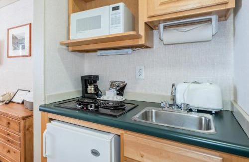 Telluride Hotel | Mountainside Inn 317 by Alpine Lodging Telluride