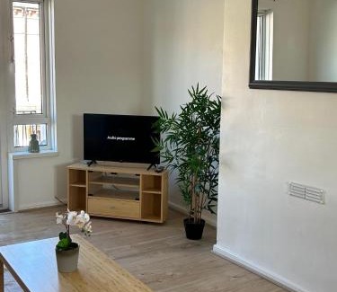 Belfast Apartment | Mountcollyer #3