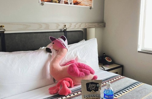 Downtown Houston Hotel | Moxy Houston Downtown
