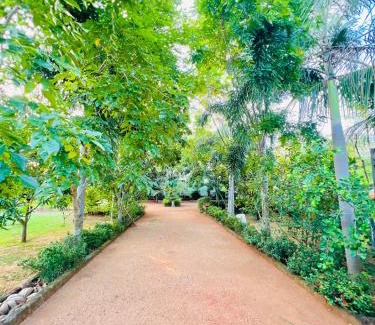 Attikulama Hotel | Moyaana in