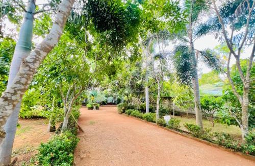 Attikulama Hotel | Moyaana in