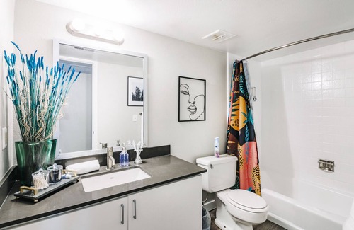 Downtown Salt Lake City Apartment | Mr. Main Entire rental unit in Salt Lake City, Utah