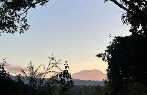Arusha Ski Chalet | Msitu Hut