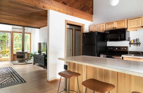 Warnick Cabin | Mt Baker Cabin w/Hot Tub, Sauna, Firepit, BBQn
