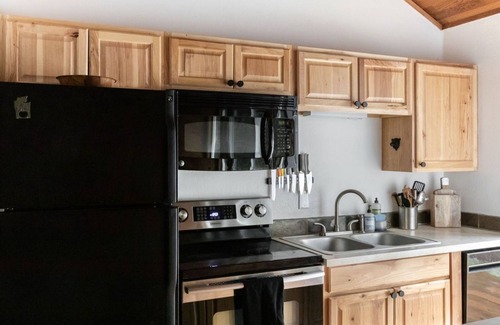 Warnick Cabin | Mt Baker Cabin w/Hot Tub, Sauna, Firepit, BBQn