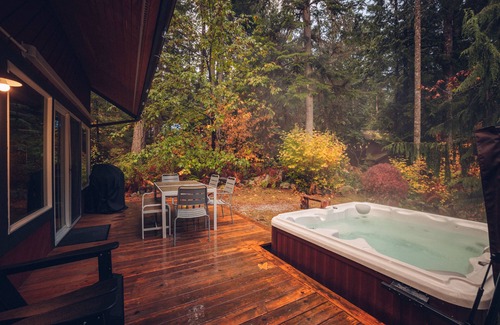Warnick Cabin | Mt Baker Cabin w/Hot Tub, Sauna, Firepit, BBQn