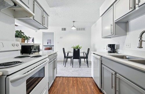 Windsor Park Apartment | Mueller Flats 614 I Spacious 1 Bed 1 Bath