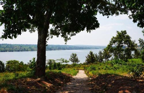 Rwamagana Cabin | Muhazi Dolce Vita Ecolodge