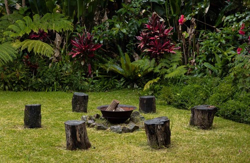 Mullumbimby House | Mullum Muse, a magical place that connects you back to nature.